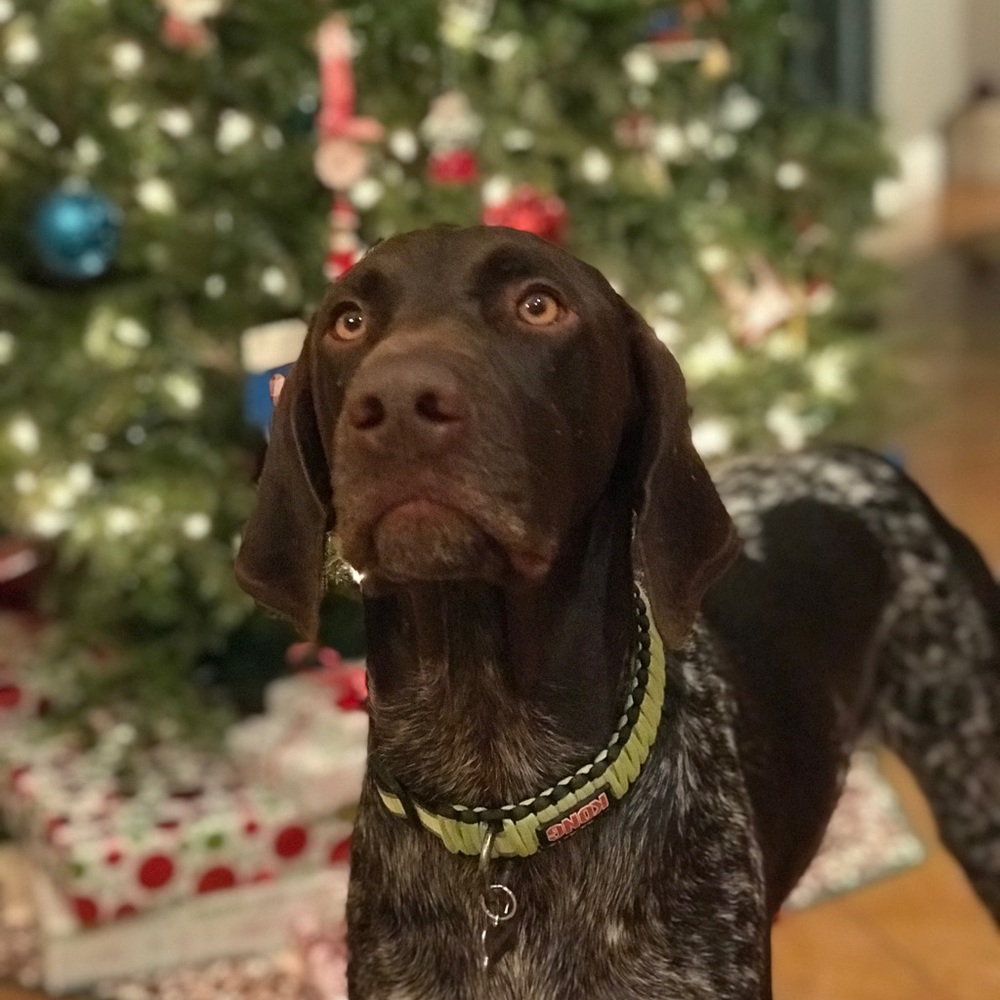 Meet your Posher, Jen